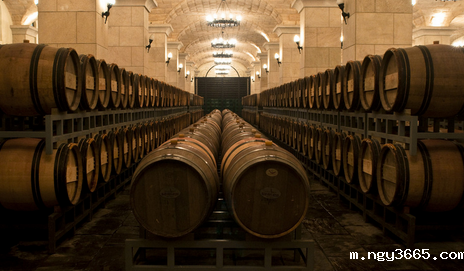 恒温恒湿酒窖设计