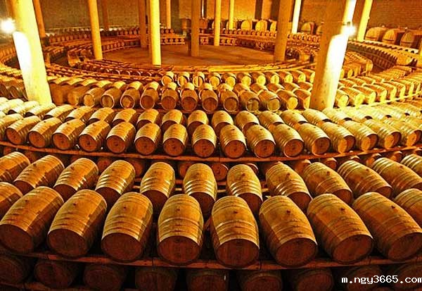 葡萄酒酒窖